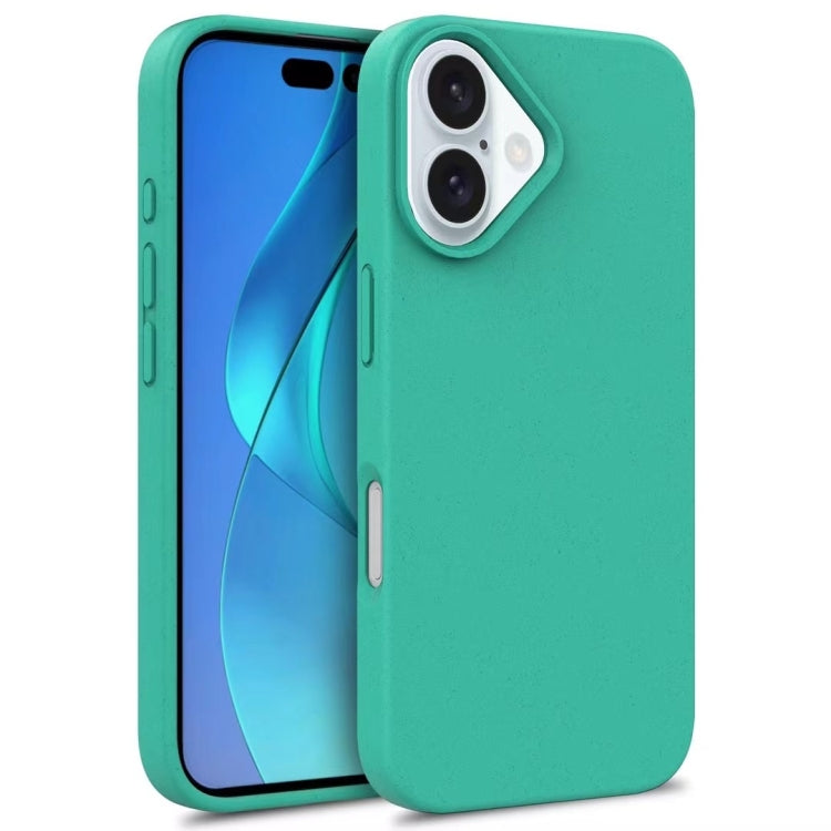 For iPhone 16 Wheat Straw TPU Phone Case(Green) - iPhone 16 Cases by buy2fix | Online Shopping UK | buy2fix