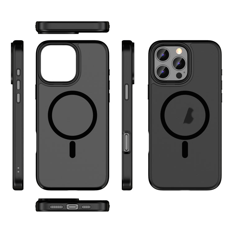 For iPhone 11 Pro Max Skin Feel Frosted MagSafe Magnetic Phone Case(Transparent Black) - iPhone 11 Pro Max Cases by buy2fix | Online Shopping UK | buy2fix