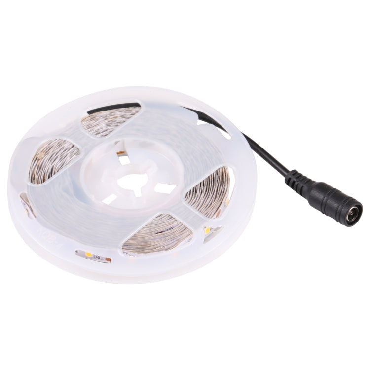 Bare Board 2835 SMD Dimmable White Light / Warm Light LED Rope Light, 60 LED/m, Length: 5m, 12V 2A 100-240V(EU Plug) - Bare Board Light by buy2fix | Online Shopping UK | buy2fix