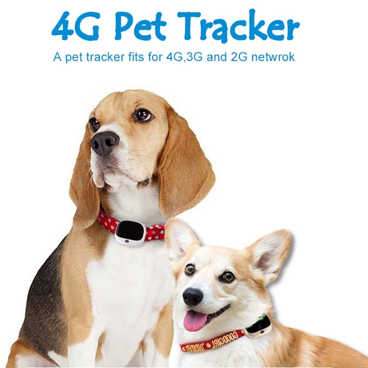 RF-V43 B Style IP67 Waterproof GPS + LBS + WiFi Pet Locator Pet Collar Tracking Device For North America/South America(White) - Pet Tracker by buy2fix | Online Shopping UK | buy2fix