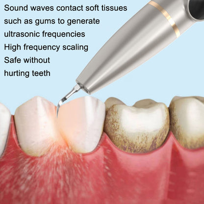 Tartar and Calculus Remover Oral Cleaning Ultrasonic Scaler Electric Visual Scaler(White) - Oral Irrigators by buy2fix | Online Shopping UK | buy2fix