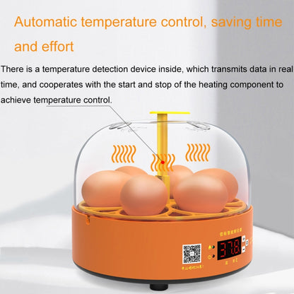 6-Eggs Small Household Experimental Children Smart Chicken Incubators, Spec: Automatic AU Plug - Incubators by buy2fix | Online Shopping UK | buy2fix