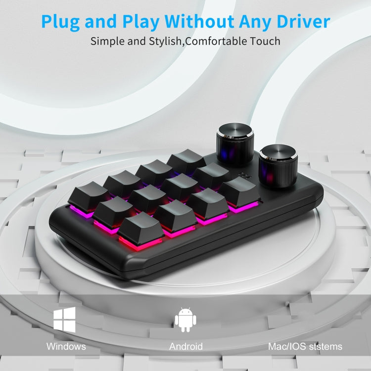 Bluetooth Wireless 12KV2 MOLD Mini Mechanical 12 Keys 2 Knob Custom Programming Keyboard(Black) - Mini Keyboard by buy2fix | Online Shopping UK | buy2fix