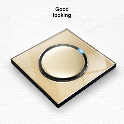 86mm Round LED Tempered Glass Switch Panel, Gold Round Glass, Style:Dual Computer Socket - Consumer Electronics by buy2fix | Online Shopping UK | buy2fix