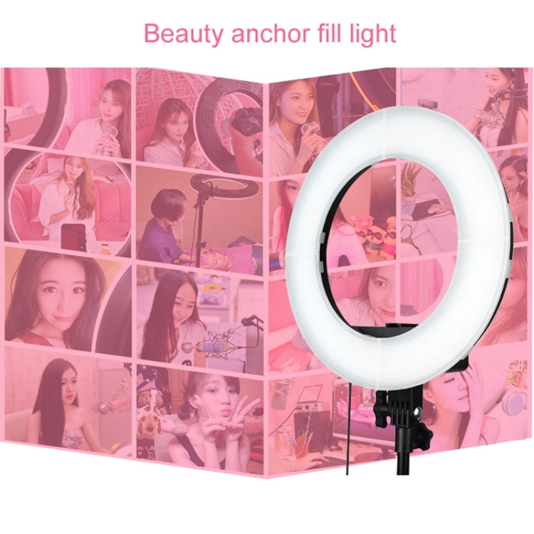 12 Inch Anchor Photography Self-timer LED Ring Fill-in Light - Consumer Electronics by buy2fix | Online Shopping UK | buy2fix