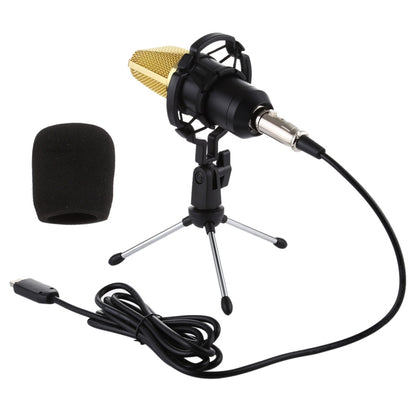 BM-700 USB Professional Condenser Microphone - Consumer Electronics by buy2fix | Online Shopping UK | buy2fix