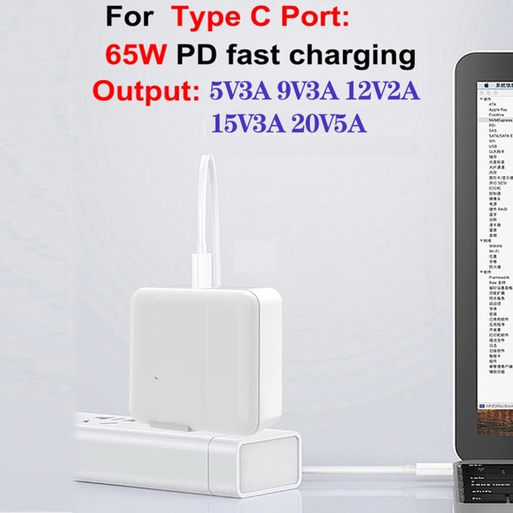 GaN 100W Dual USB + Dual USB-C/Type-C Multi Port Charger with 2m Type-C to Type-C Data Cable Set US / EU / UK Plug - Cable & Adapter by buy2fix | Online Shopping UK | buy2fix