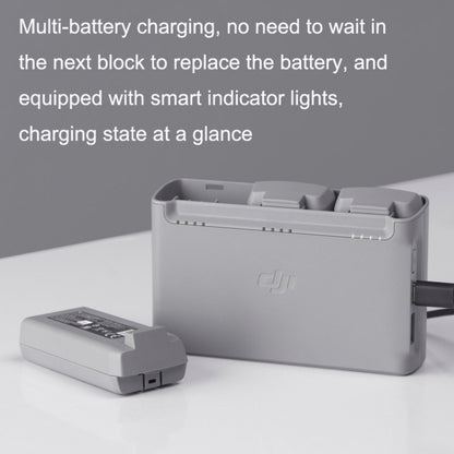 Original DJI Mini 2 / Mini SE Two-way Charging Butler(Gray) - Other by DJI | Online Shopping UK | buy2fix