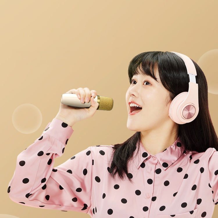 Havit P1 Portable Singing Home Wireless Bluetooth Speaker Microphone Set, Style: Single-microphone - Microphone by Havit | Online Shopping UK | buy2fix